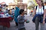 05 Jaipur  Jodpur Mix (129)